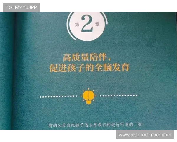 爱体育网站登录入口全面指南帮助用户顺利进入体育资讯平台实现个性化订阅