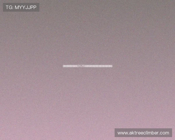 爱体育首页：深度分析2026年世界杯热门球队战术策略与明星球员表现